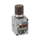 Riegler 101634. Proportional-Regelventil »sentronic D«, 24 V DC, G 3/8, DN 8