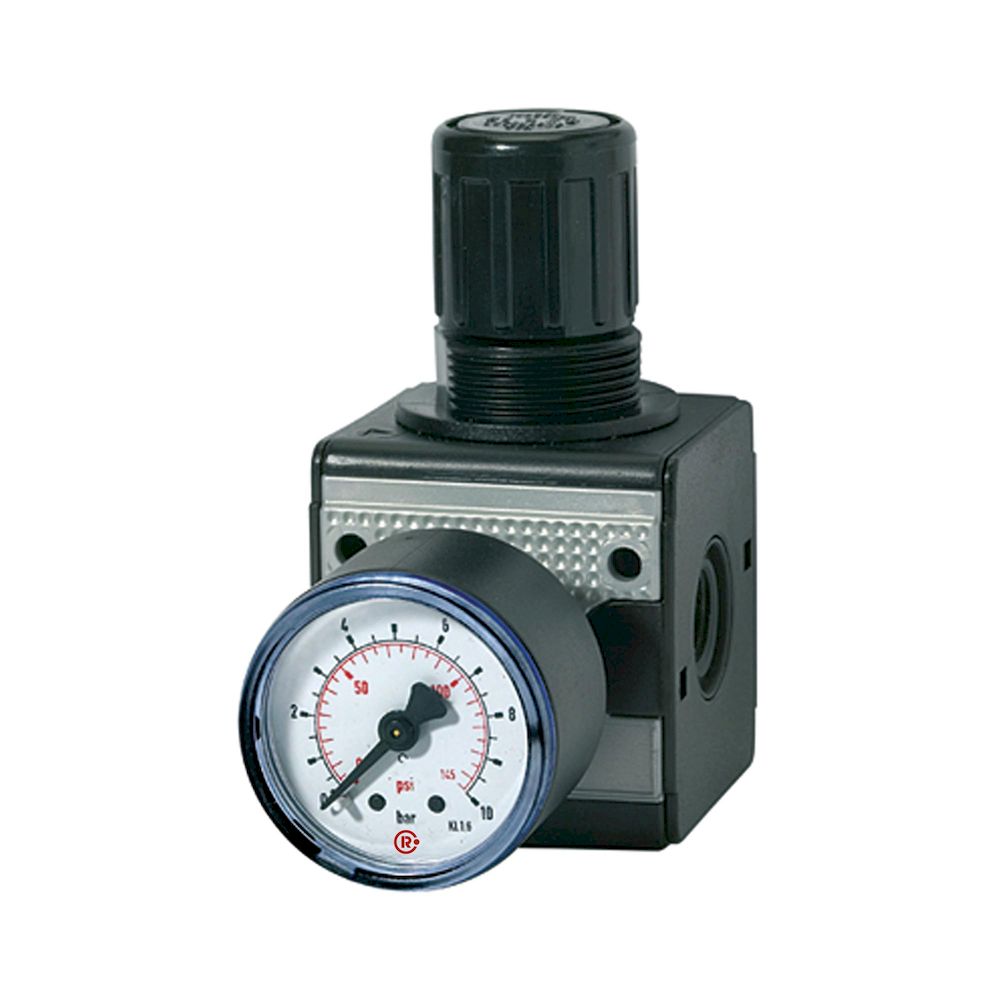 Riegler 100417.Pressure regulator »multifix«, Size 1, G 1/4, 0.5 - 10 bar