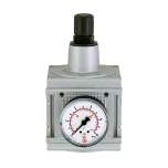 Riegler 100431. Druckregler »multifix«, inkl. Manometer, BG 5, G 1, 0,1 - 3 bar