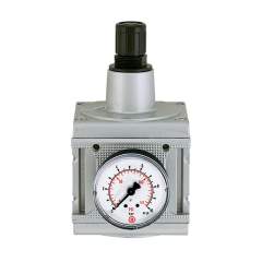 Riegler 100431. Druckregler »multifix«, inkl. Manometer, BG 5, G 1, 0,1 - 3 bar