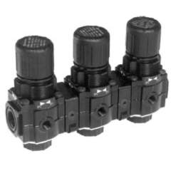 Norgren R72M-2GK-RMN. Regulador manifold estándar Excelon, G1/4, 0,3-10 bar, sin manómetro