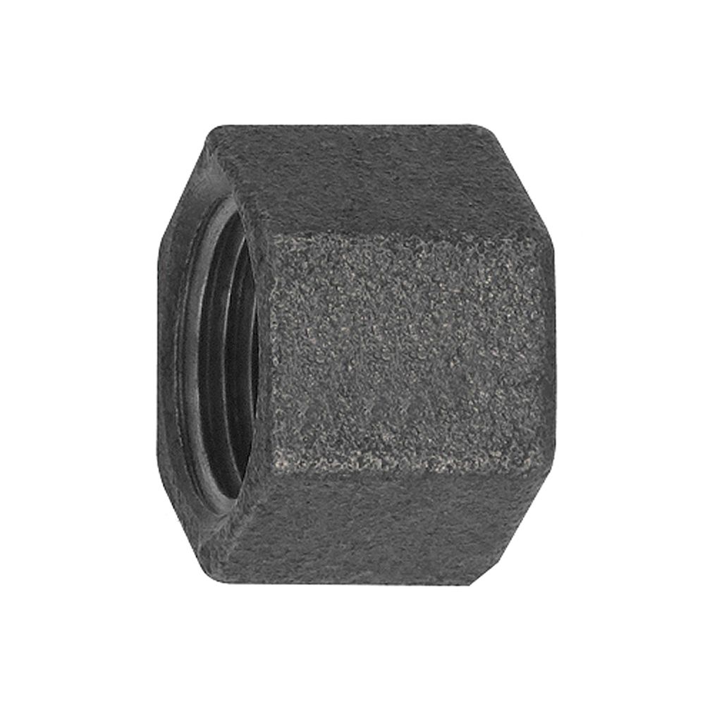 Riegler 133799.Cap 300, IT, Rp 1/2 black malleable iron fitting