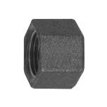 Riegler 133804.Cap 300, IT, Rp 2 black malleable iron fitting