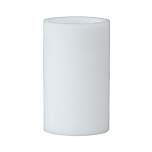 Riegler 100674.Filter element 5 µm, PE sintered