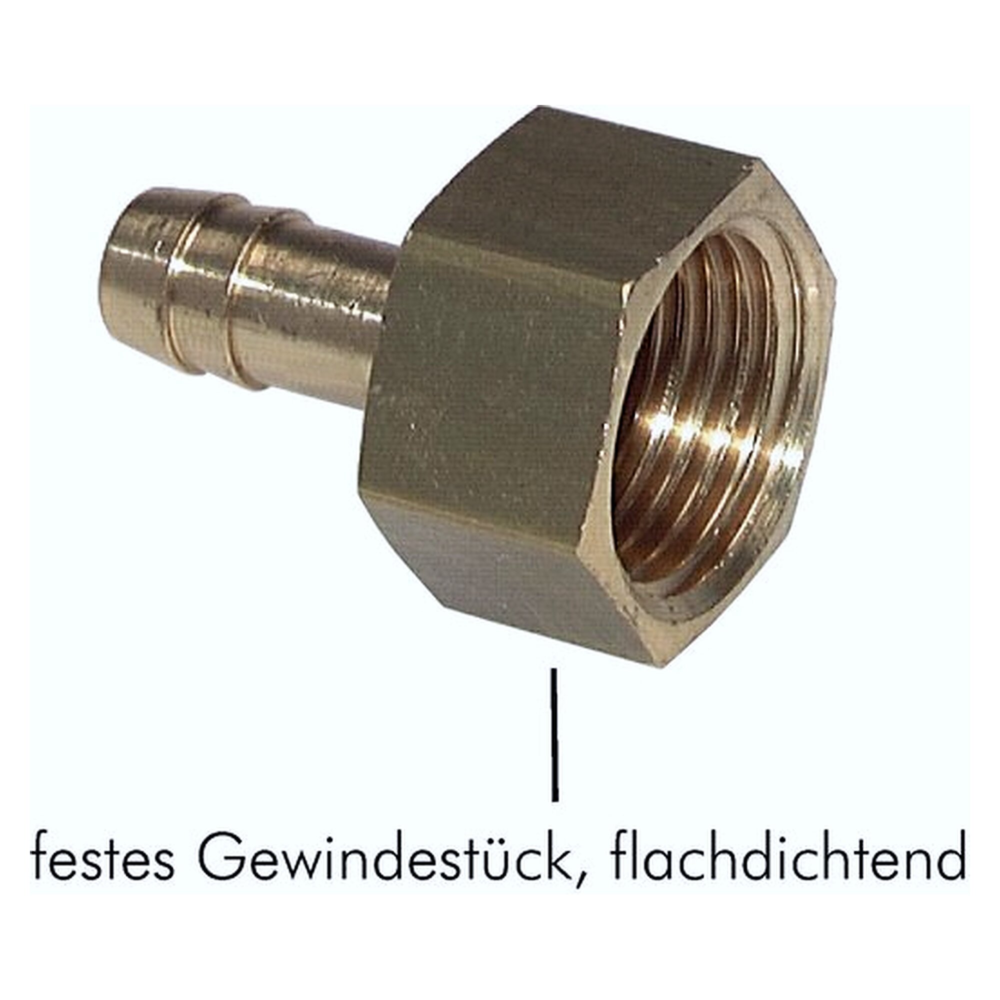 Aufschraub-Schlauchtülle, Innengewinde G 3/4", Schlauch 19 (3/4") mm, Messing