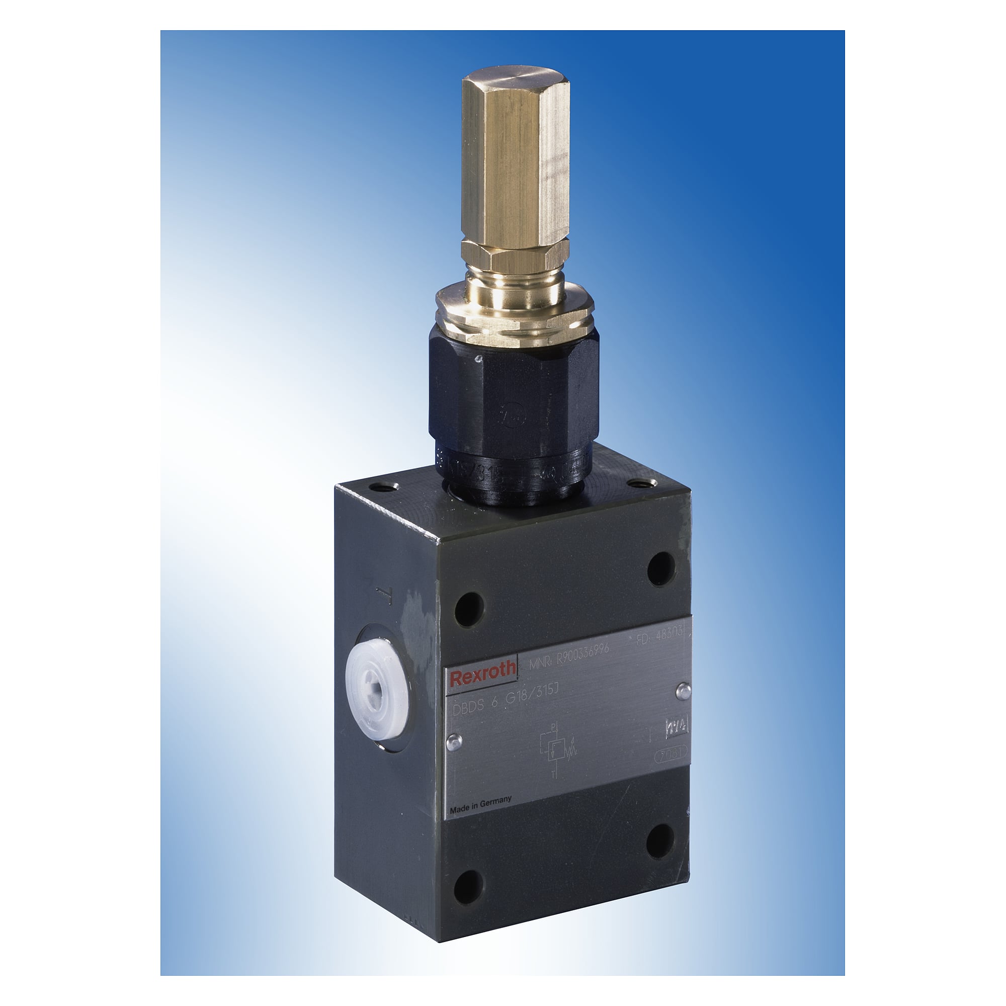 Pressure Relief Valve DBDS6G1X/315J3 - Bosch Rexroth R900336996