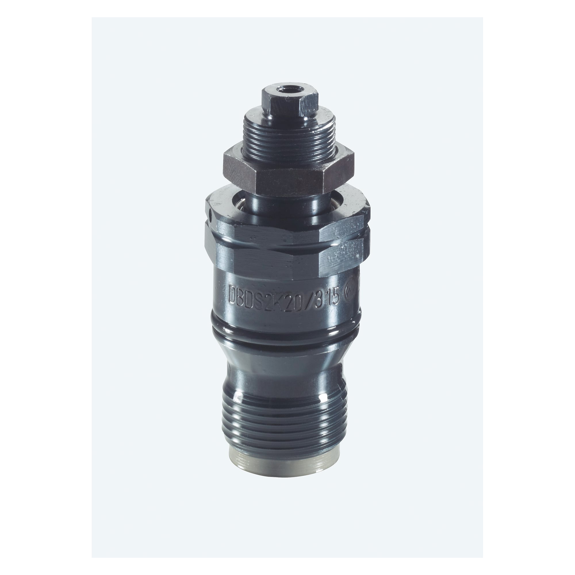Druckbegrenzungsventil DBDS2K2X/315 - Bosch Rexroth R900203853