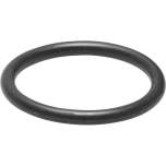 Festo 8036907. Dichtung SASF-FW-S-E