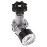 DR 11 Druckregler G 1/4", 0,5-10 bar, Baureihe Standard 1