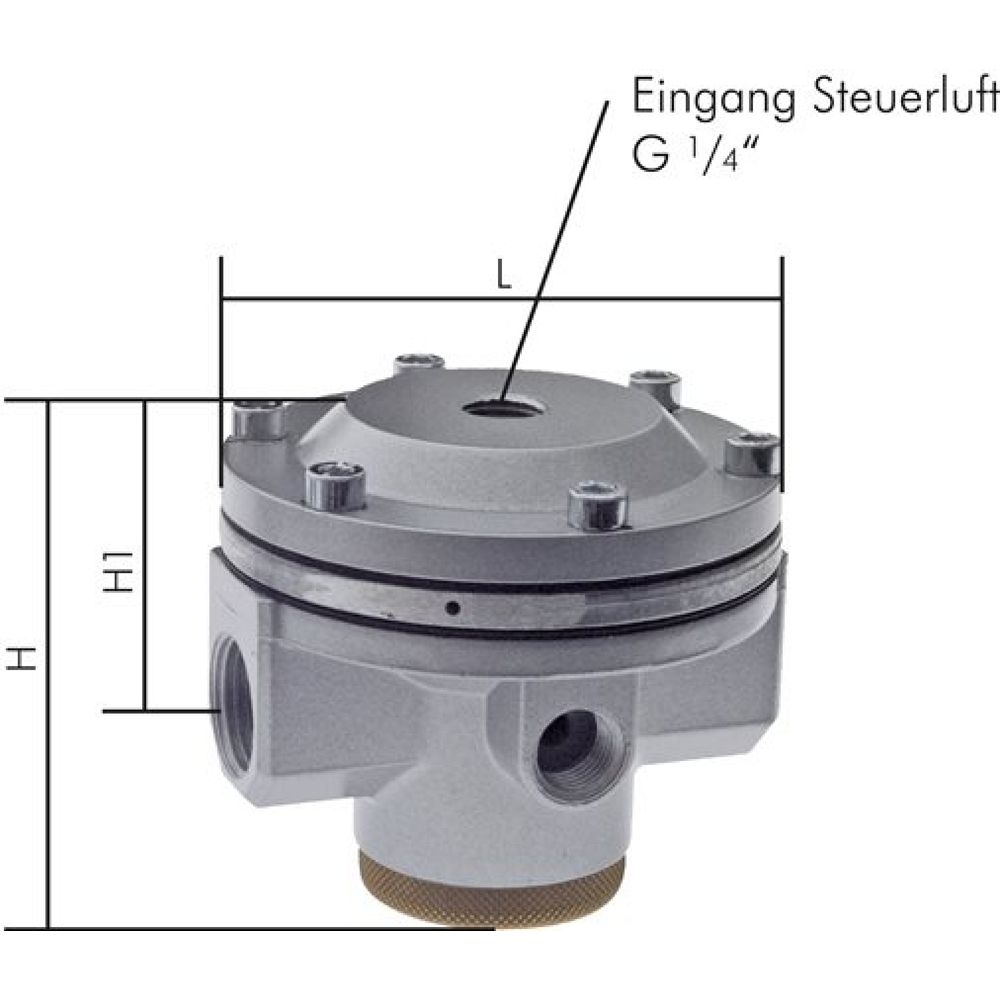 DRI 5540 Standard Druckregler (Volumenbooster) G 1", Standard 5