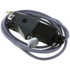 DRS 100 X ATEX-Druckschalter 20-100 bar (Wechsler), G 1/4" (IG)