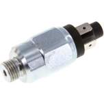 DRSW 200 B Druckschalter, Stahl verzinkt 50-200 bar (Wechsler), G 1/4"