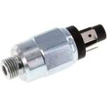 DRSW 70 B Druckschalter, Stahl verzinkt 10-70 bar (Wechsler), G 1/4"