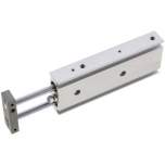 EMC EXSM 10/60. Doppelkolbenzylinder, Kolben 10mm, Hub 60mm