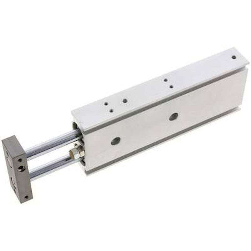 EMC EXSM 20/100. Double piston cylinder, piston 20mm, stroke 100mm