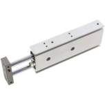 EMC EXSM 20/100. Double piston cylinder, piston 20mm, stroke 100mm