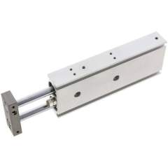 EMC EXSM 20/100. Doppelkolbenzylinder, Kolben 20mm, Hub 100mm