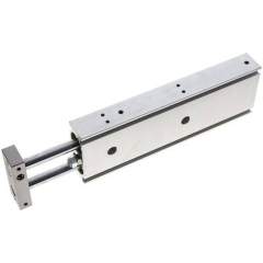 EMC EXSM 20/125. Doppelkolbenzylinder, Kolben 20mm, Hub 125mm