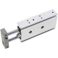 EMC EXSM 20/50. Doppelkolbenzylinder, Kolben 20mm, Hub 50mm