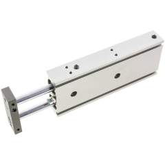 EMC EXSM 25/125. Doppelkolbenzylinder, Kolben 25mm, Hub 125mm