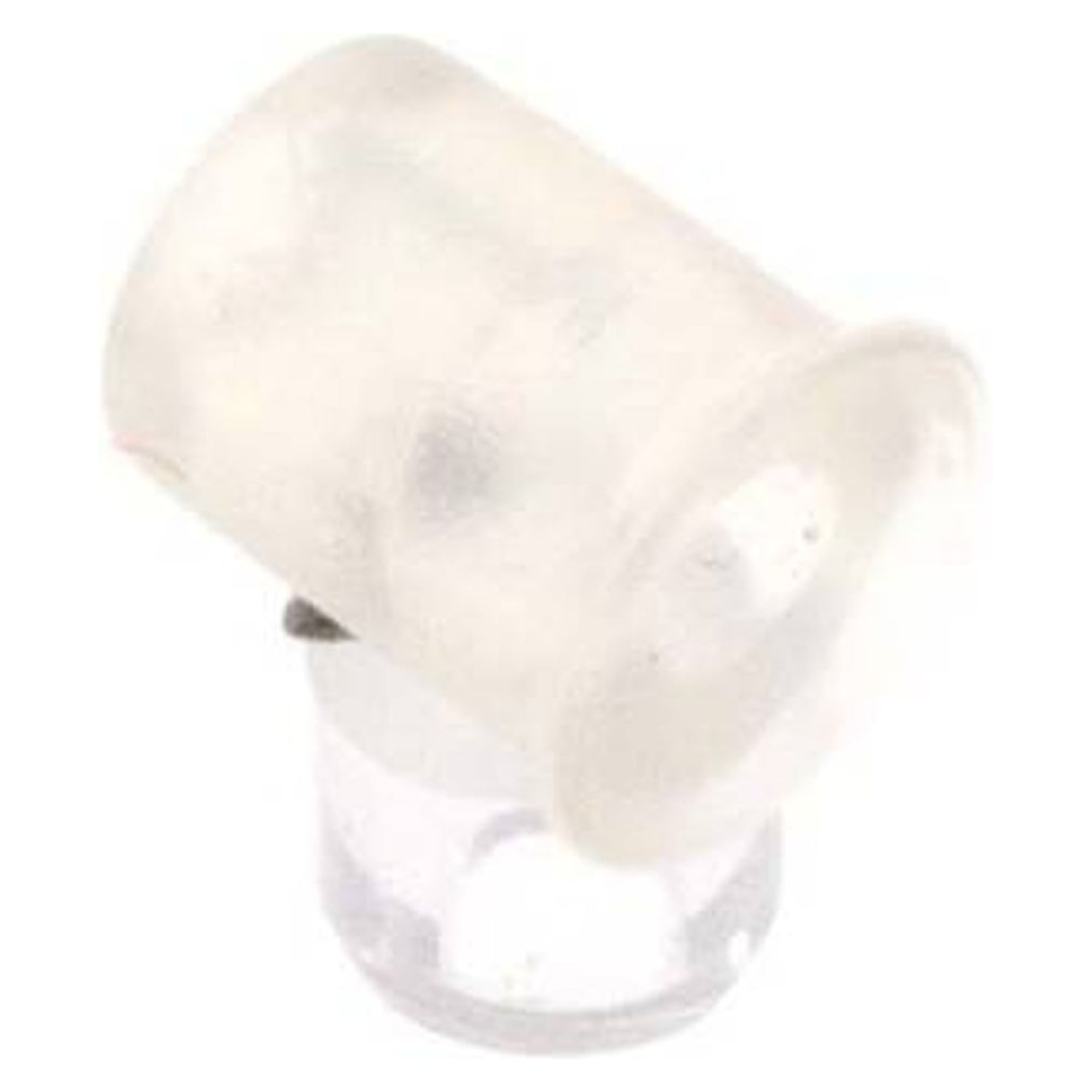 Flat suction cleaner, P-series, Ø 5x0,5mm, Silicone (50A), transparent