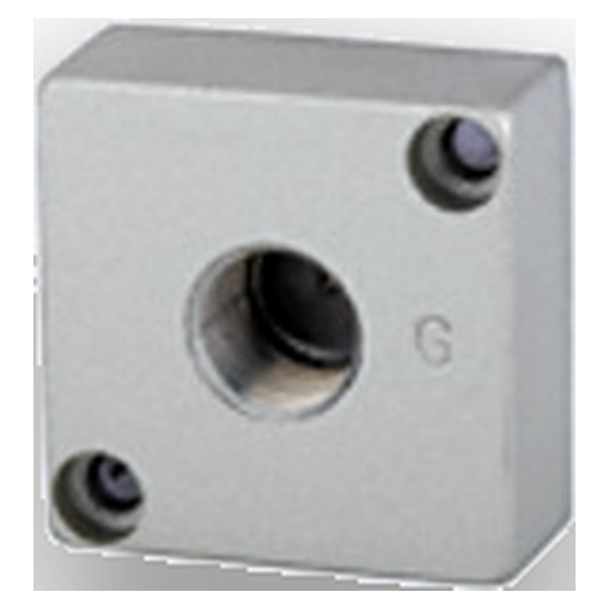 Adapterplatte zur Montage von Standardmanometern (rund) »G-mini« - Riegler 116456