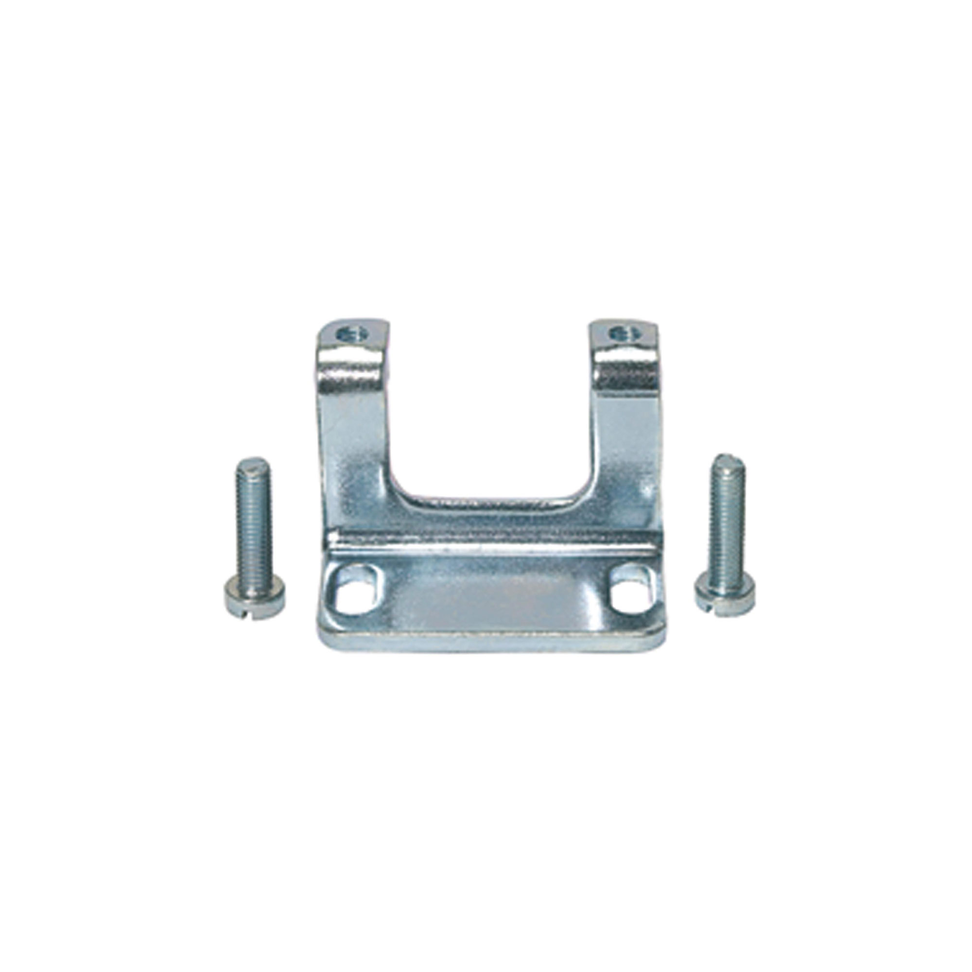 Mounting bracket with 2 screws - Riegler 100981