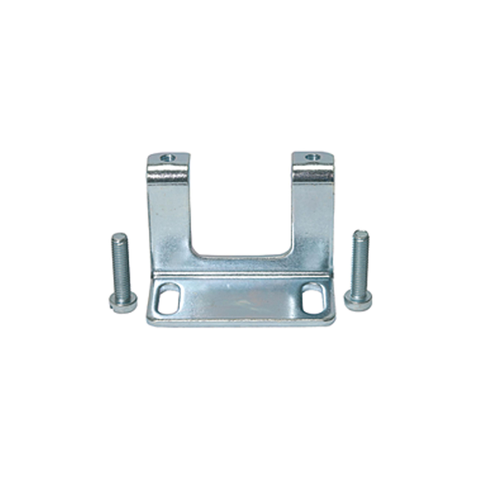 Mounting bracket with 2 screws - Riegler 100982