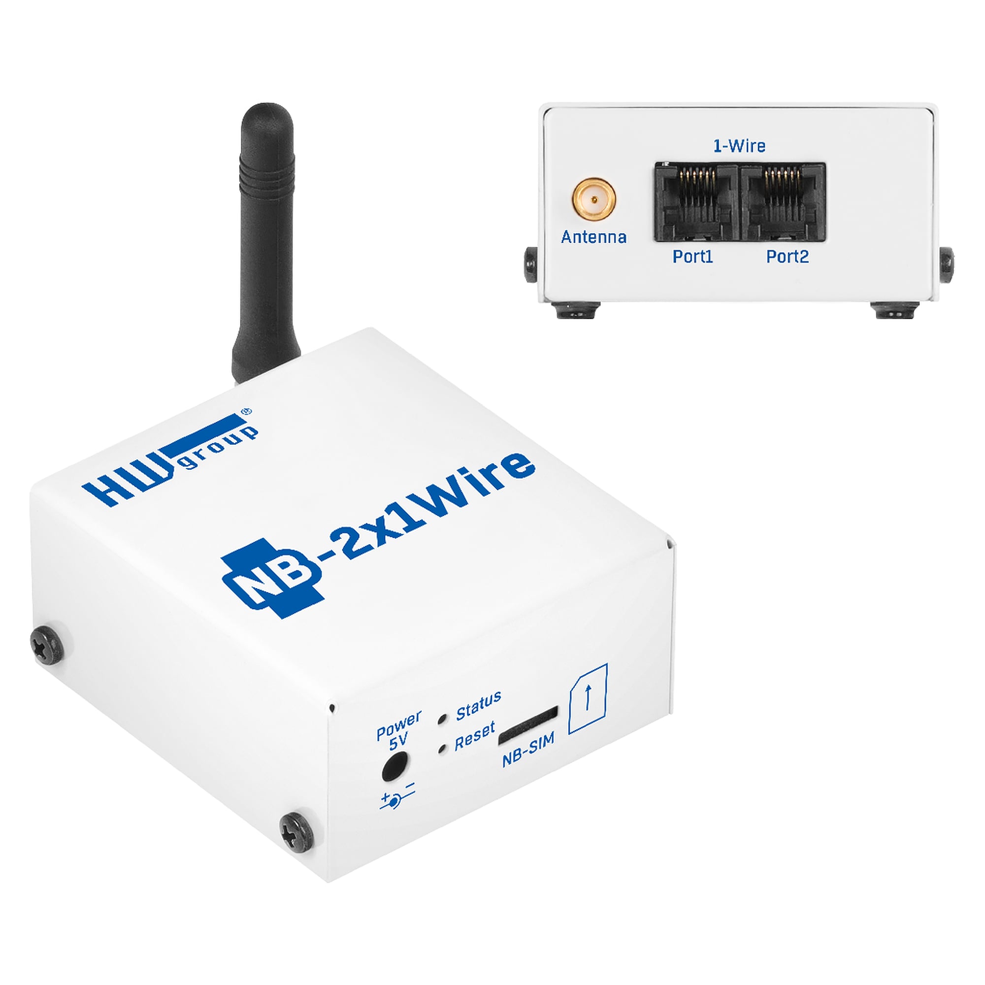 NB-IoT monitoring device NB-2x1Wire Tset subscribed with 3 m temperature sensor, 3-year SIM connectivity, battery - HW group 600778