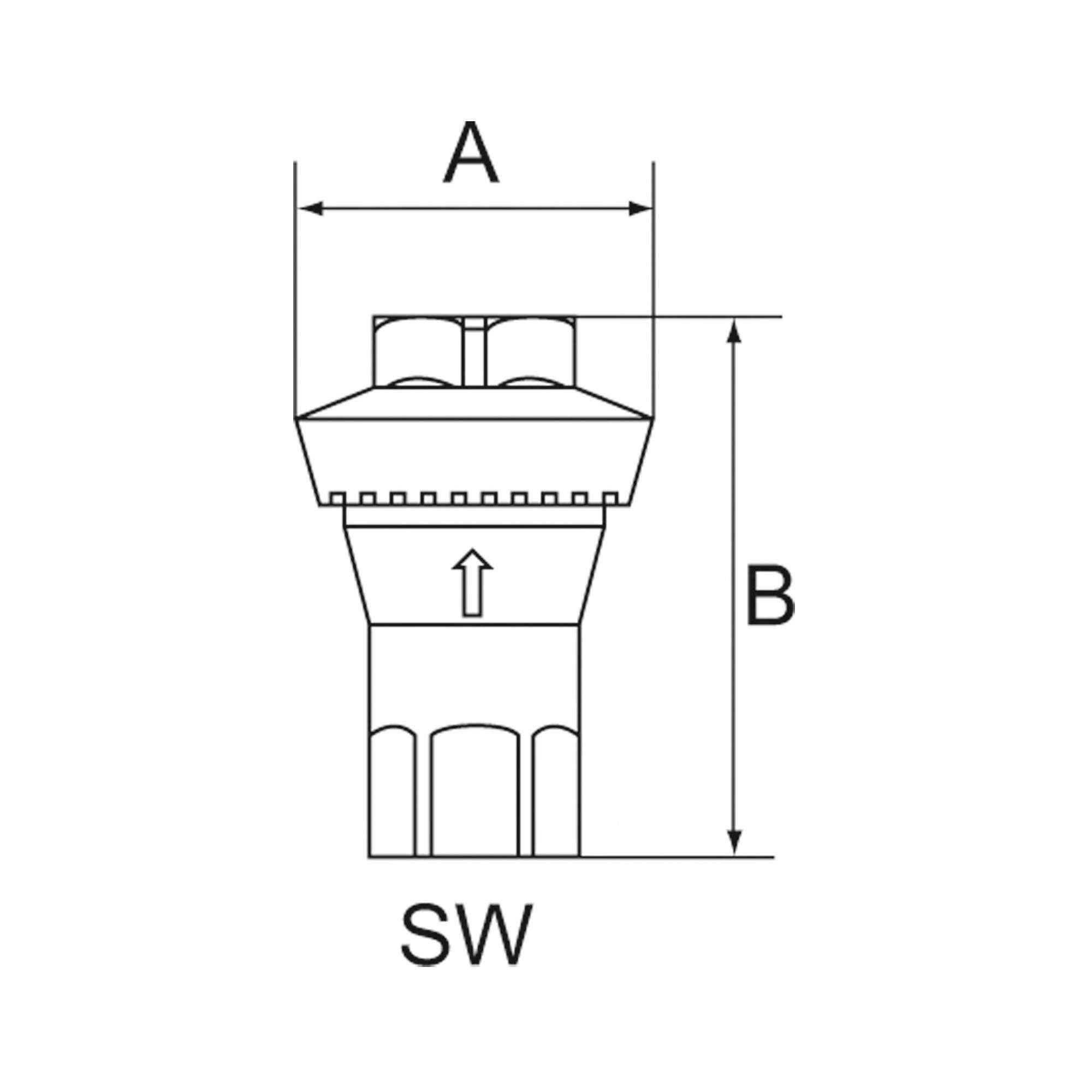 Inline-Druckregler, 2 x IG, ohne Sekundärentlüftung, G 1/4, 5 bar - Riegler 101498