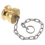 Kamlock-Verschlussstecker (DP) 1-1/2", Messing