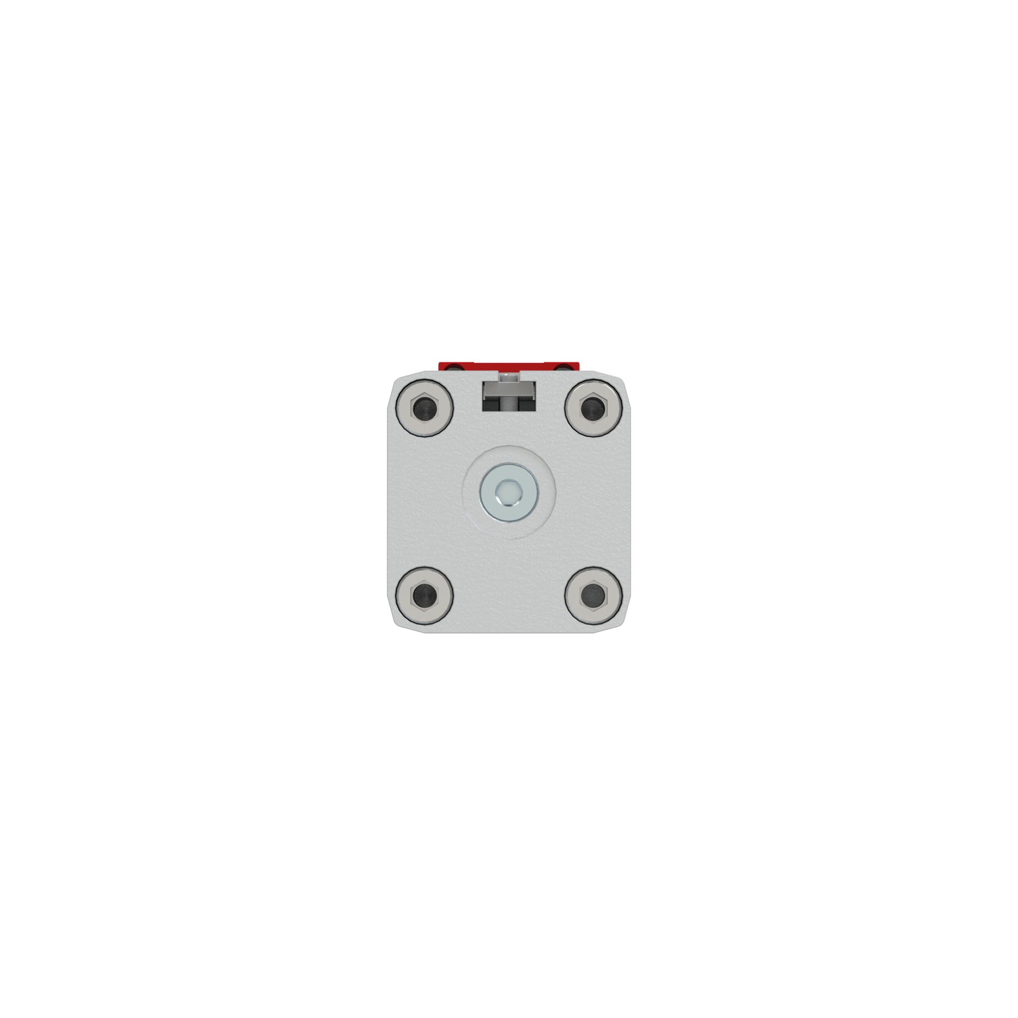 Kolbenstangenloser Zylinder ZRL1F, Ø 63, Hub 100, Standard - Riegler 129689