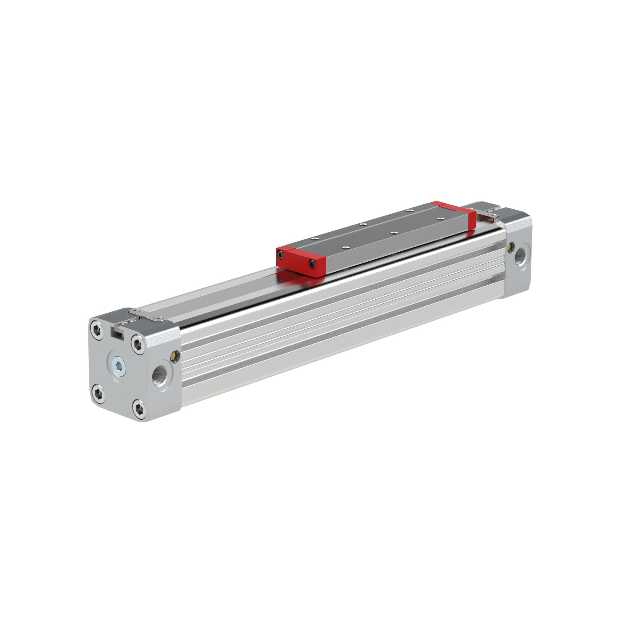 Kolbenstangenloser Zylinder ZRL1F, Ø 63, Hub 100, Standard - Riegler 129689