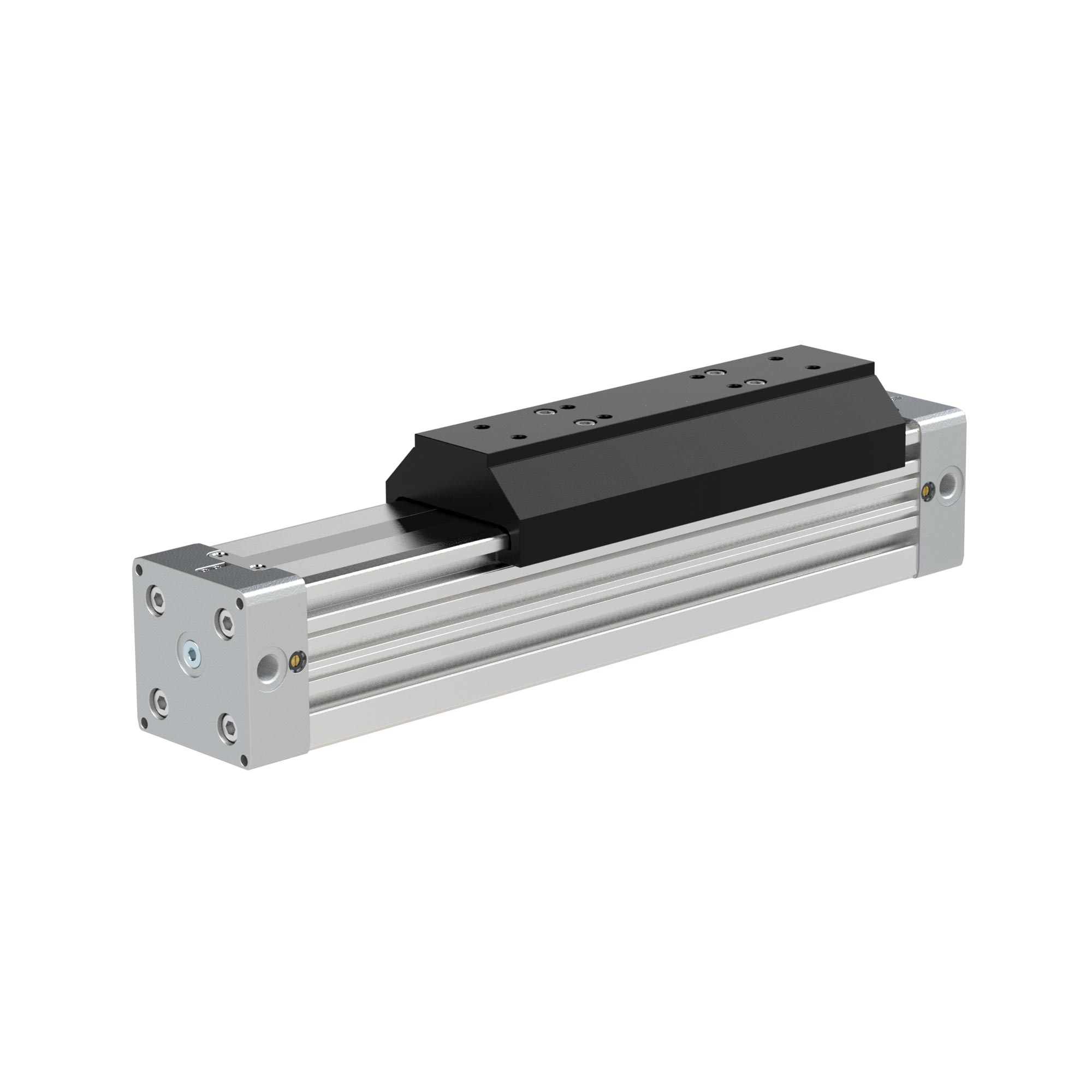 Kolbenstangenlose Antriebe Serie ZRL1S - Riegler K2499