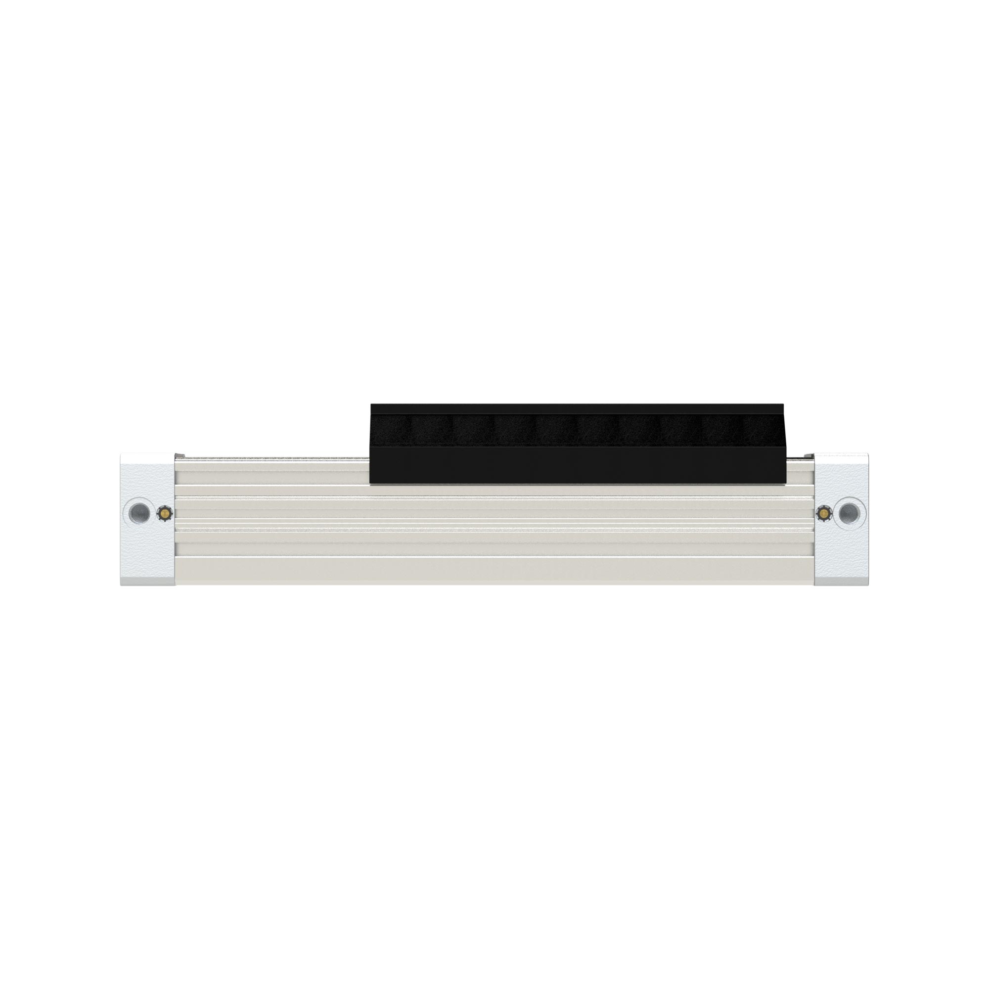Piston rod-free cyl. ZRL1S, Ø 63, stroke 1000, standard - Riegler 150565