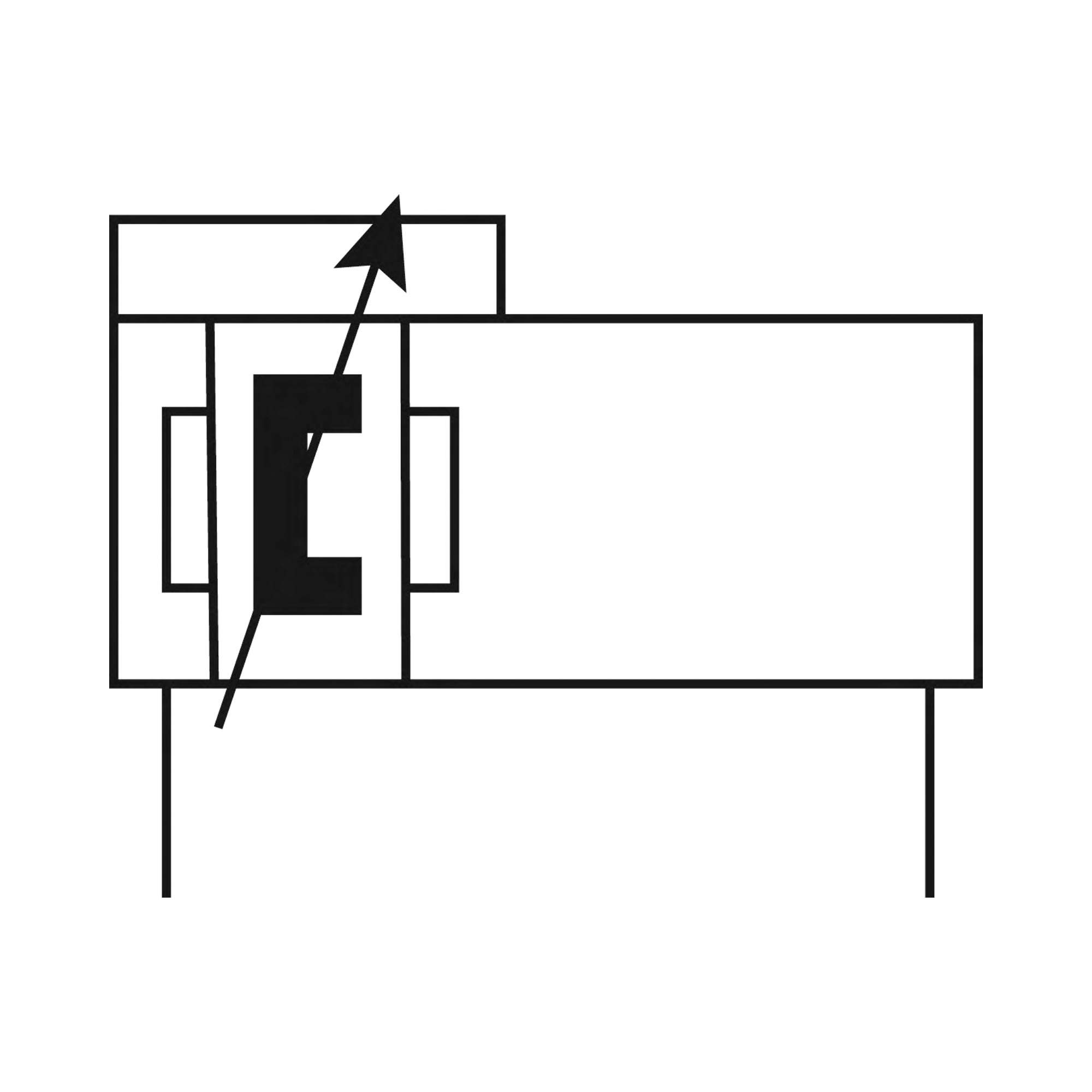 Kolbenstangenloser Zylinder ZRL1F, Ø 63, Hub 100, Standard - Riegler 129689