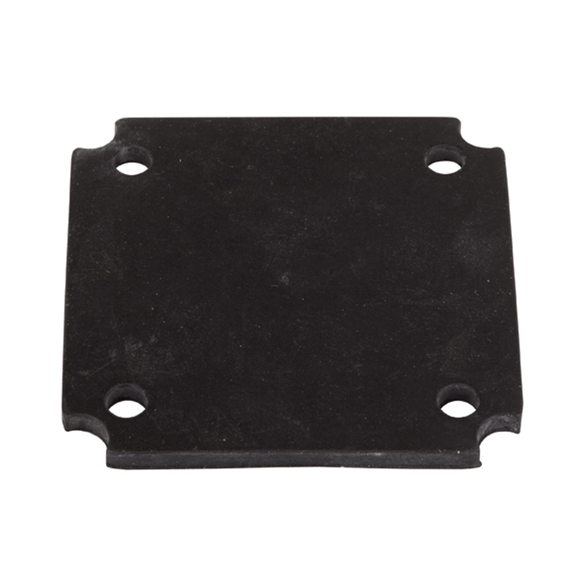 Diaphragm - Riegler 103068