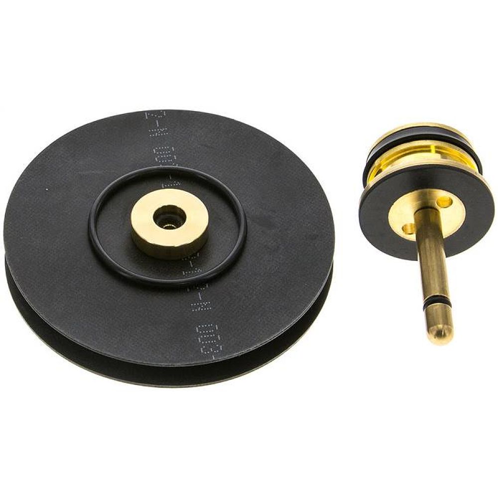 Membrane RF10 ErsatzMembrane Baureihe Multifix 5 (RF)