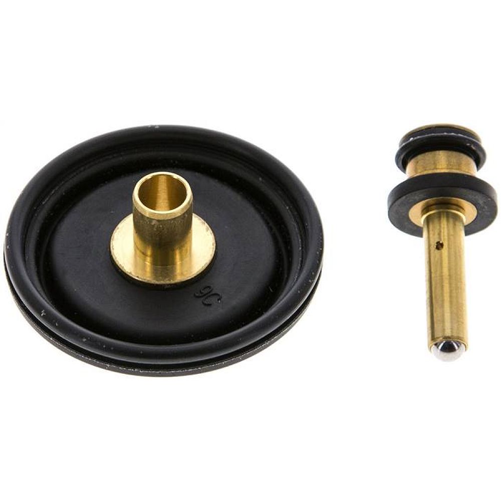 Membrane RP12 F ErsatzMembrane Baureihe Futura 2 (RP, RBP)