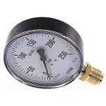 Wika MS 250100 Manometer senkrecht, 100mm, 0-250 bar