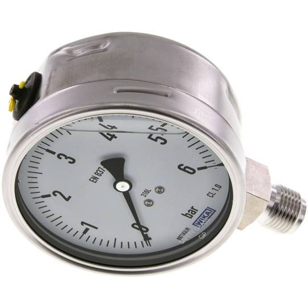 Wika MS 6100 GLY ES Chemie-Glycerin-Manometer senkrecht,100mm, 0-6 bar