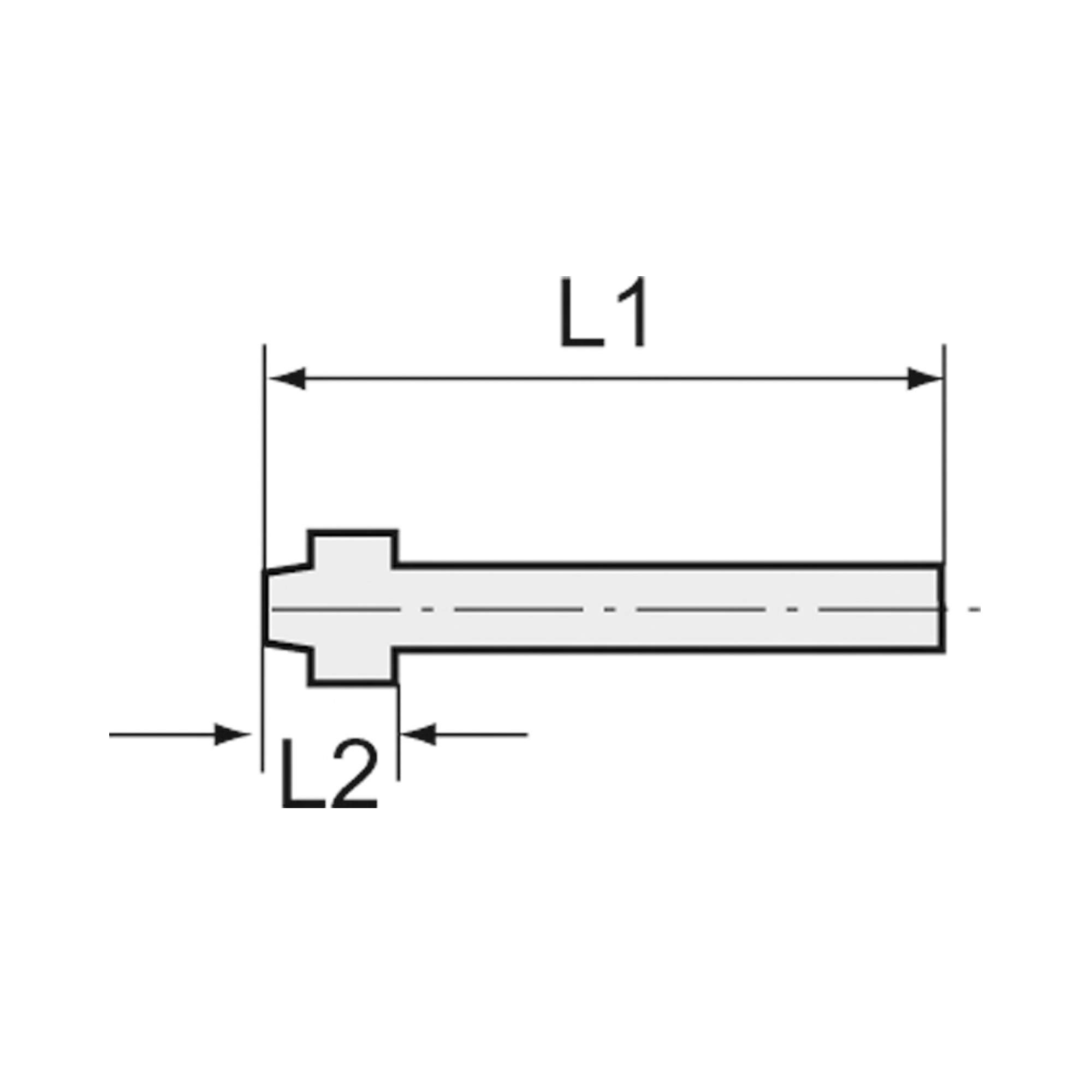 Schlauchtülle, Kugelnippel, für Schlauch LW 25, Messing - Riegler 136307