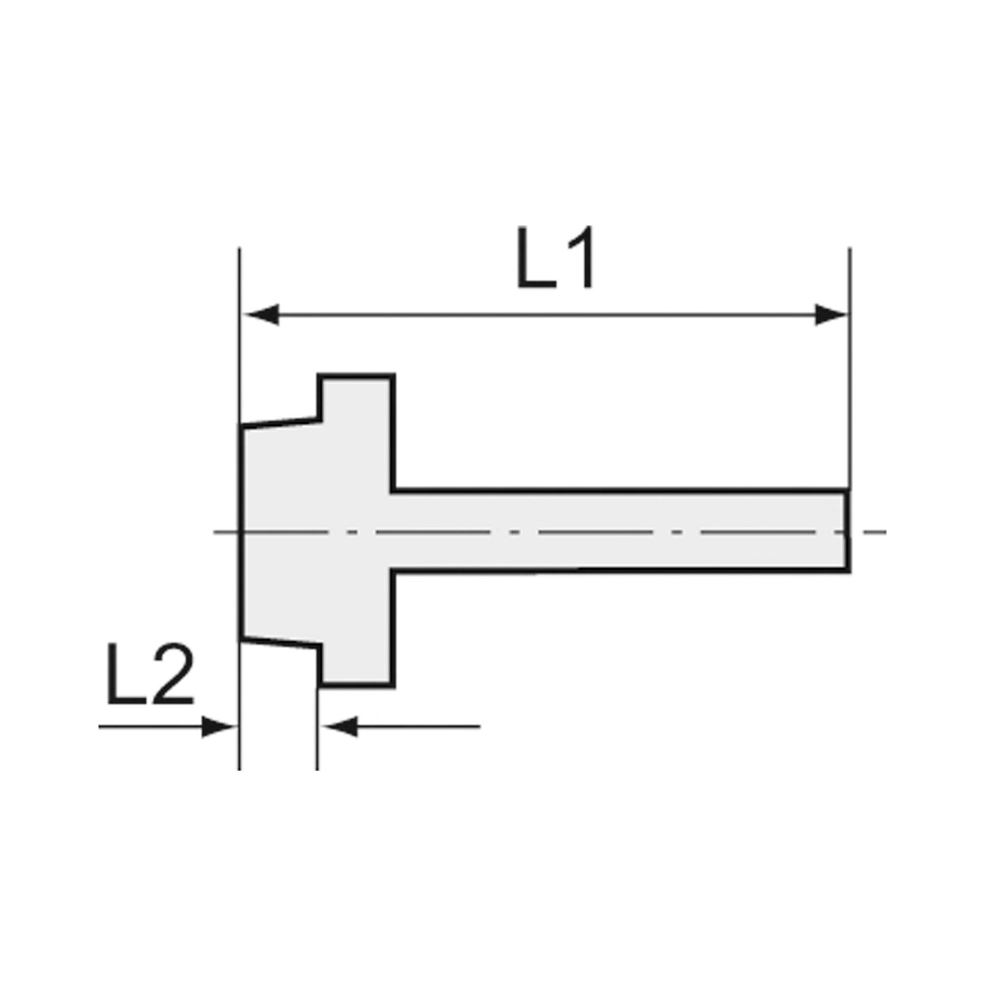 Einschraubschlauchtülle, G 1 1/4, f. Schlauch LW 32 mm, SW 50, MS - Riegler 131018