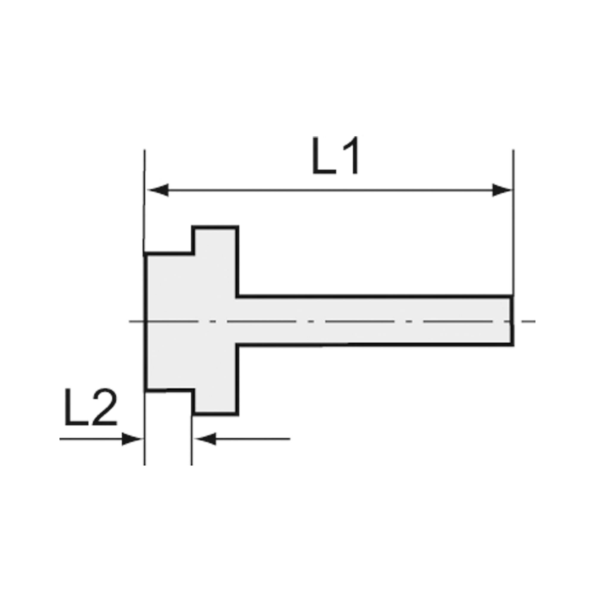 Einschraubschlauchtülle, O-Ring »value line« G 1/4, LW 12 - Riegler 115607
