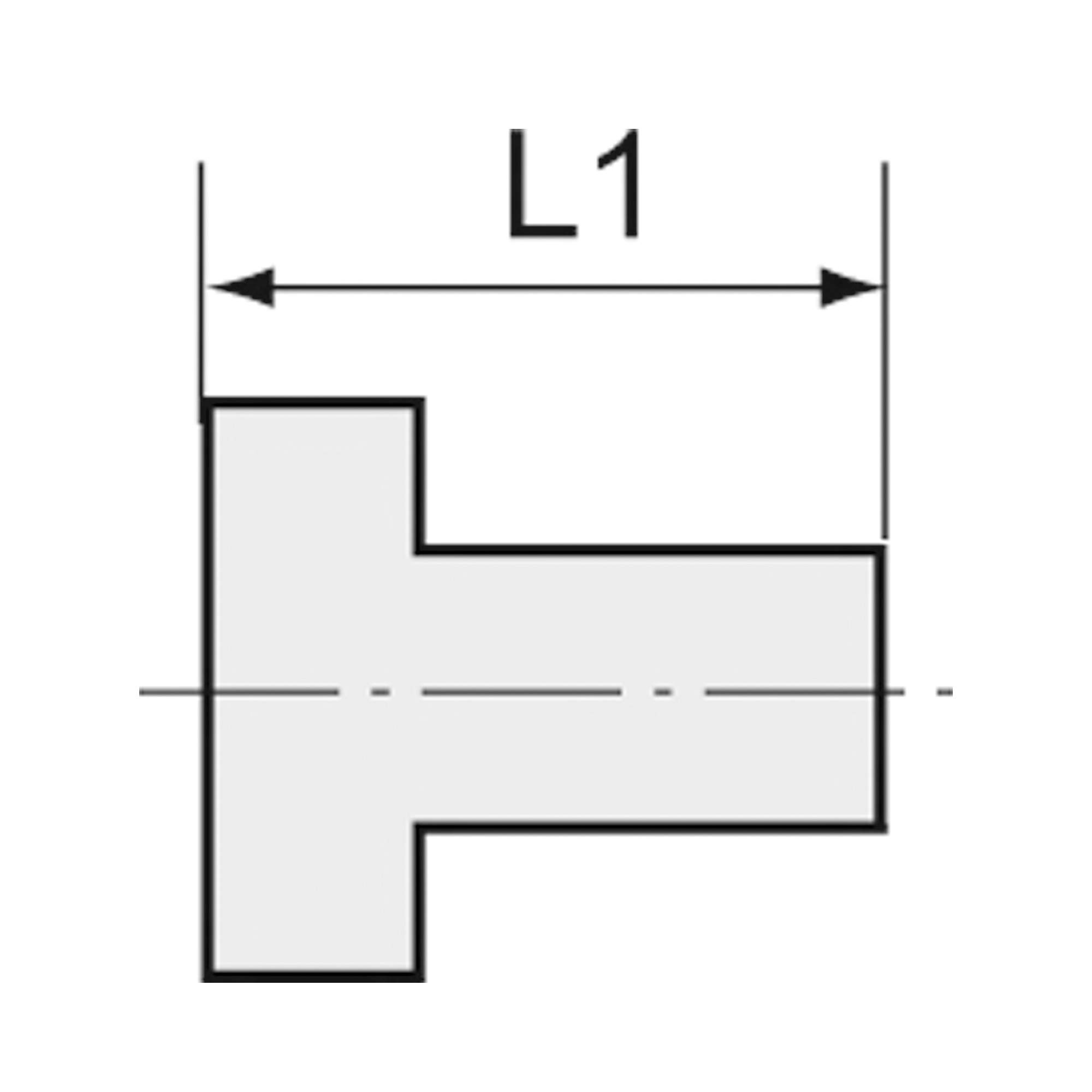 Reduziernippel, R 2 AG, Rp 1 IG, SW 61, ES 1.4408 - Riegler 118491