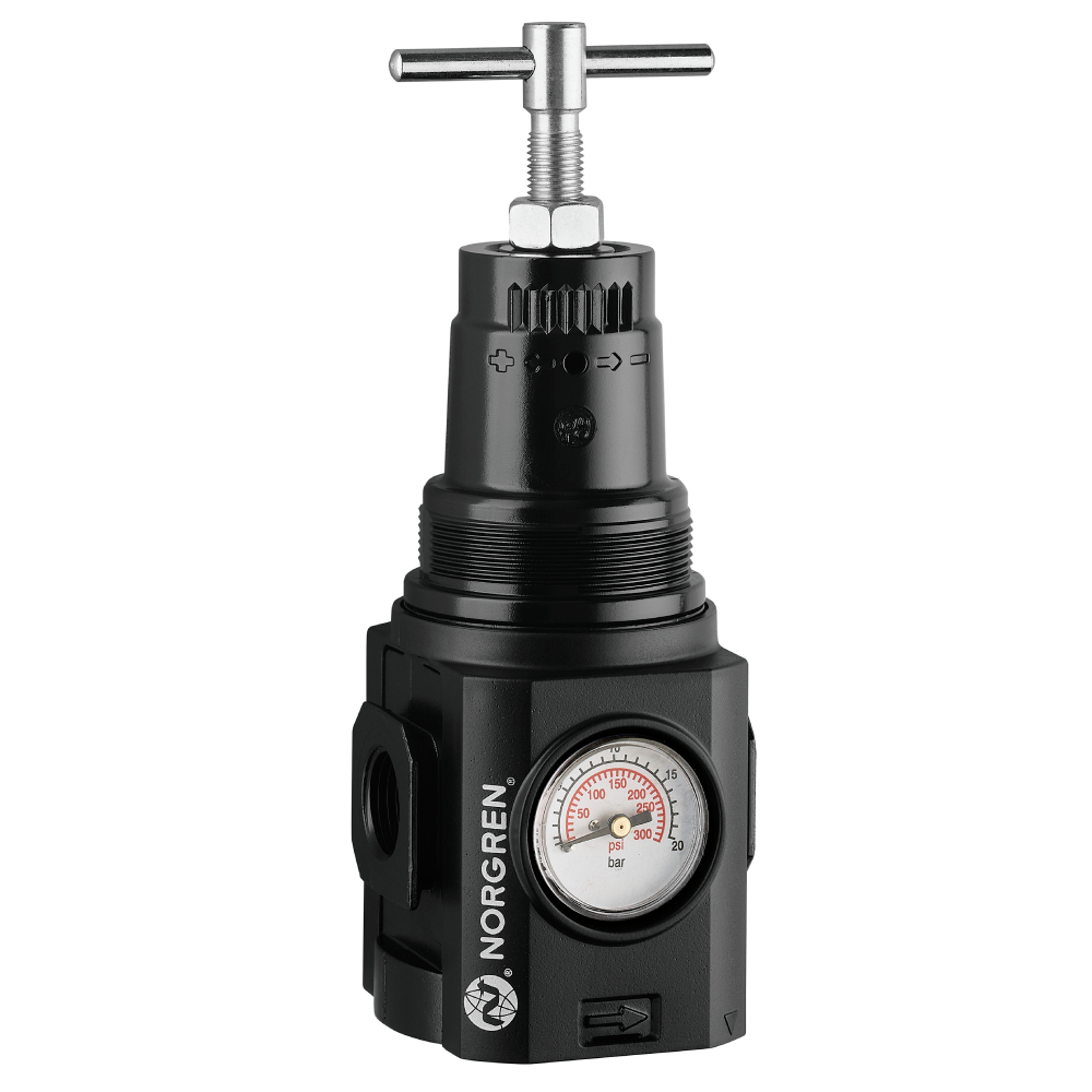 Druckregler Excelon Plus für extreme Temperaturen, 1/2 PTF, 0,7-17 bar, nicht entlüftend - Norgren HR84G-4AT-NSG