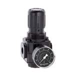 Norgren R73G-2AK-RMG Druckregler 0,3-10 Npt1/4
