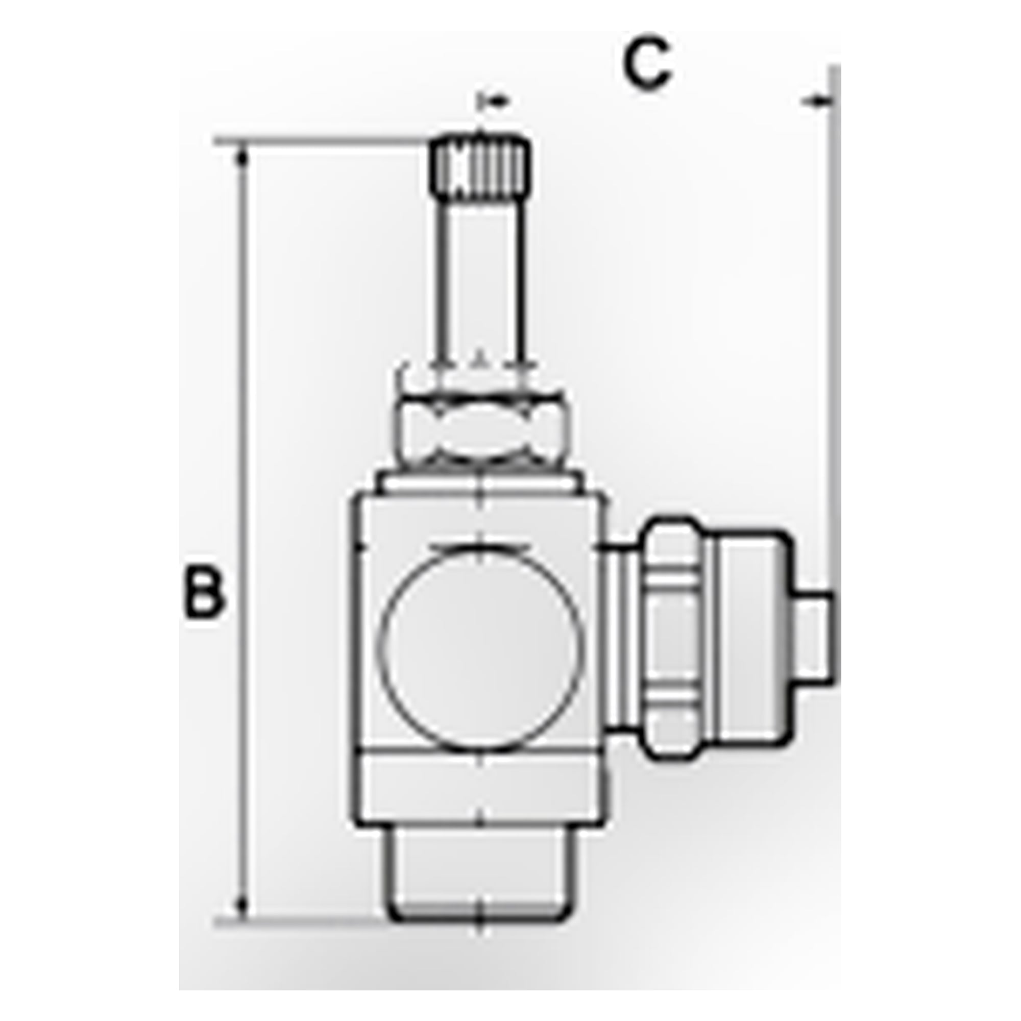 Throttle check valve, Discharge throttle (C) quick connector - Riegler 106951