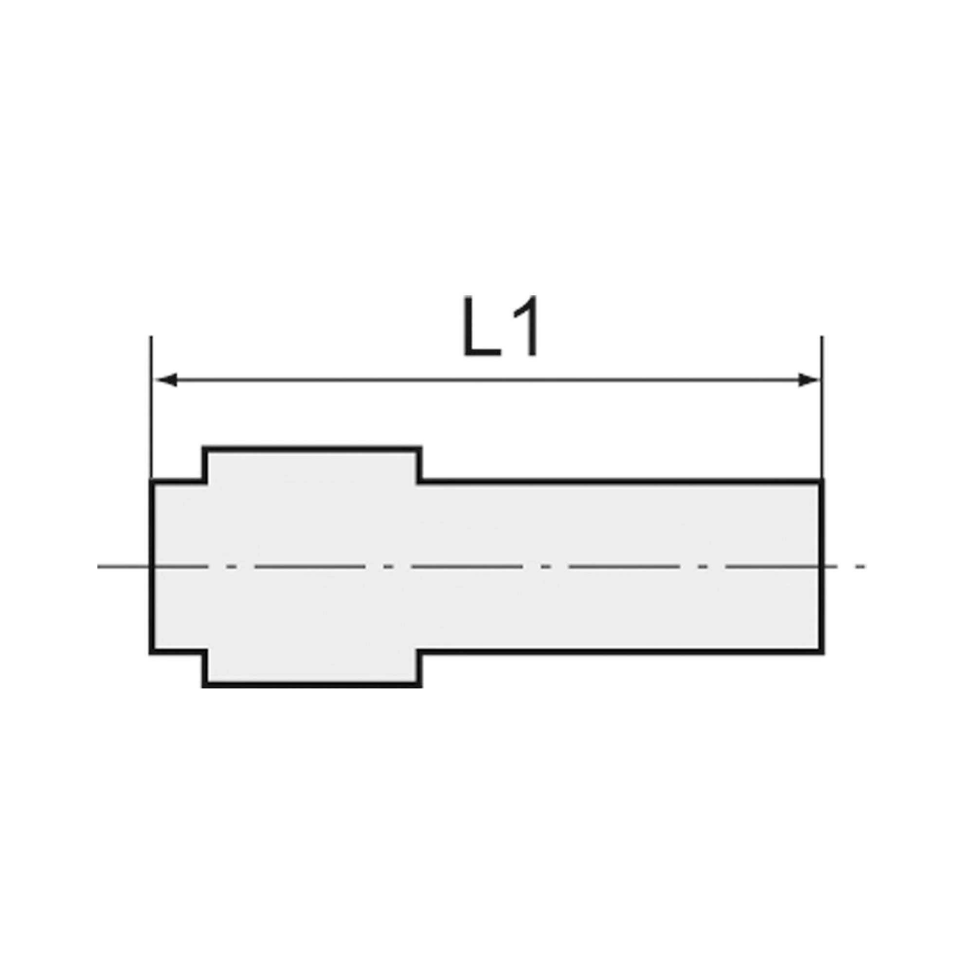 Straight push-in connector with plug nipple 6 mm, reducing - Riegler 135283
