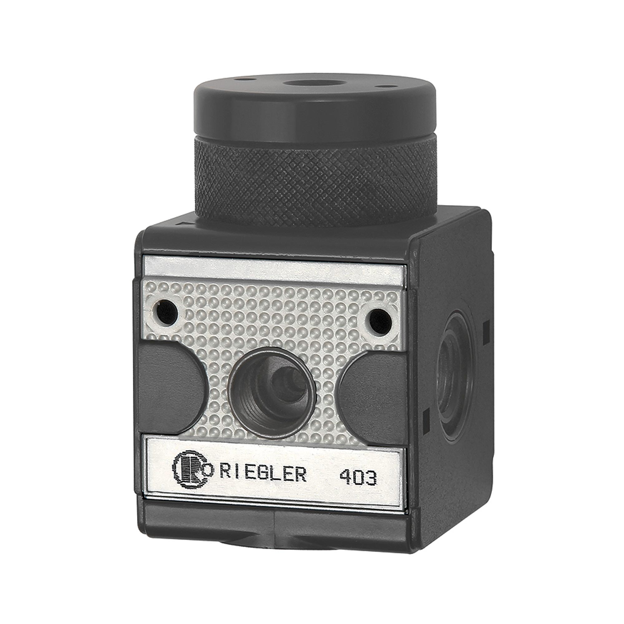 Druckregler pneumatisch ferngesteuert »multifix« - Riegler K2111